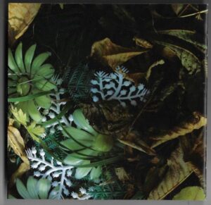 LADĚ – KALNÁ (CD)