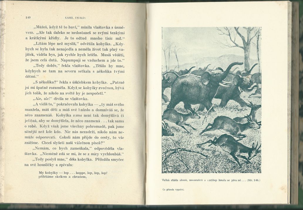 CO PŘÍRODA VYPRÁVÍ – detail 3