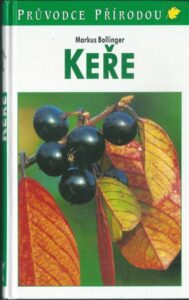 KEŘE – Markus Bollinger