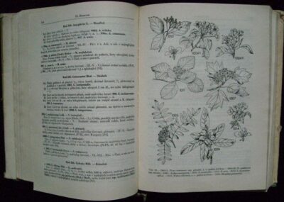 KLÍČ K ÚPLNÉ KVĚTENĚ ČSR – Josef Dostál