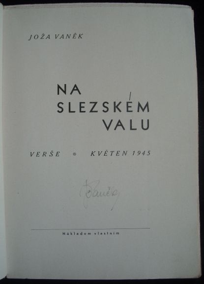 NA SLEZSKÉM VALU – detail 1