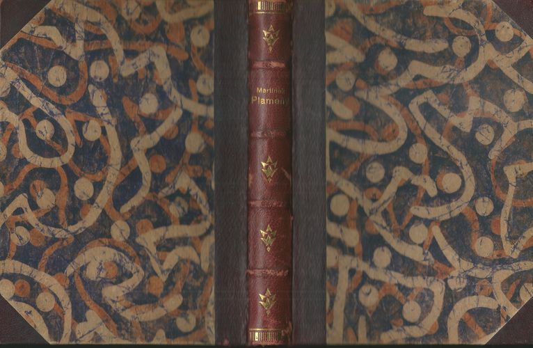 PLAMENY – Vojtěch Martínek