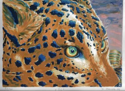 ROMAN FRANTA – SOLOMON GUGGENHEIM  („SG“)