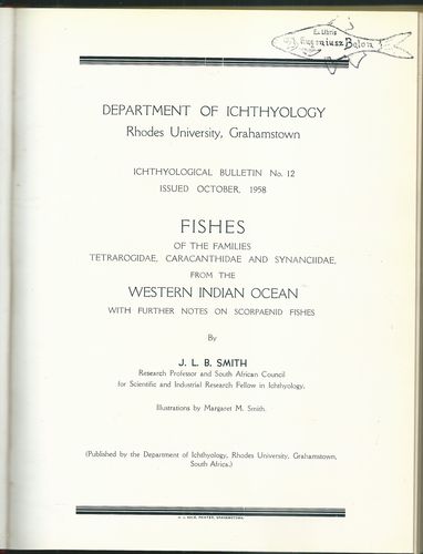 THE FISHES OF THE FAMILY ELEOTRIDAE IN THE WESTERN INDIAN OCEAN – detail 4
