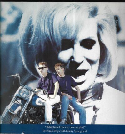 „WHAT HAVE I DONE TO DESERVE THIS?“ LP deska