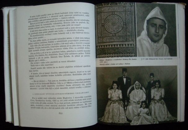 ZASTŘENÁ ZVÁŘ AFRIKY – detail 2