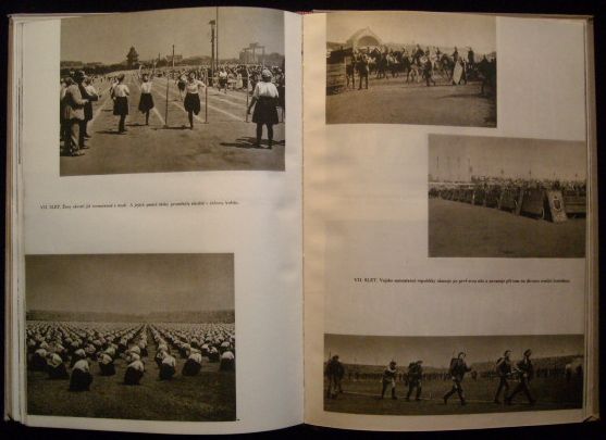 LVÍ SILOU – detail 4