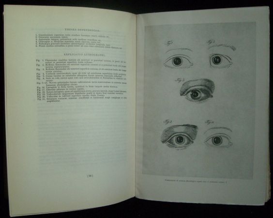 OPERA SELECTA – detail 2