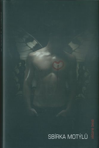 SBÍRKA MOTÝLŮ – Viktorie Besó