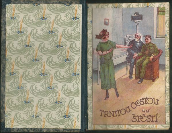 TRNITOU CESTOU KE ŠTĚSTÍ – detail 1