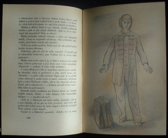 TROJÍ CESTA BLAŽEJE POTĚŠILA – detail 1