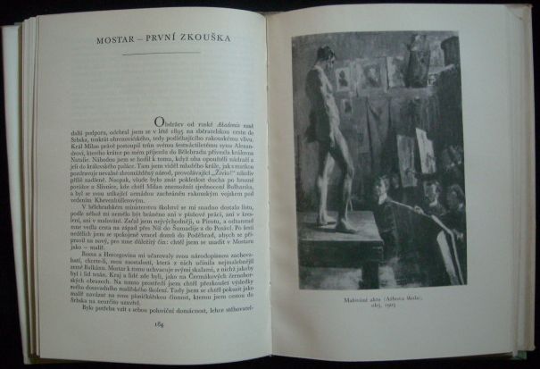 ZASCHLÁ PALETA – detail 1