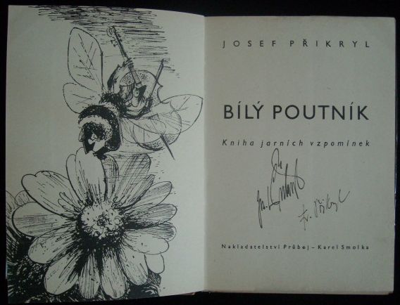 BÍLÝ POUTNÍK – detail 1