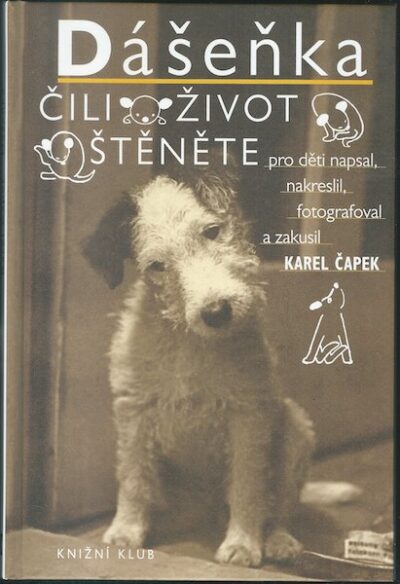 DÁŠEŇKA – Karel Čapek