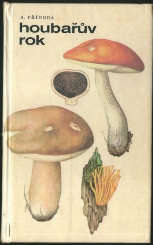 HOUBAŘŮV ROK – detail 1