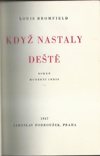 KDYŽ NASTALY DEŠTĚ – detail 2