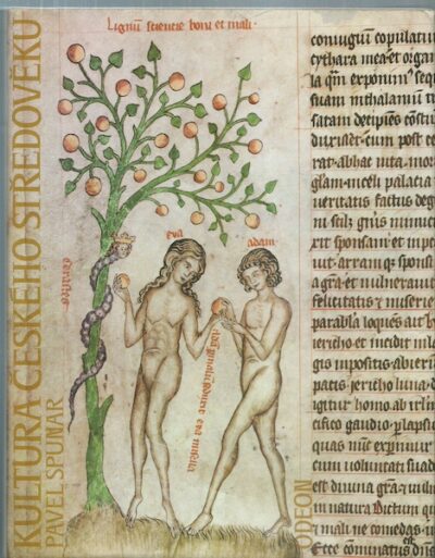 KULTURA ČESKÉHO STŘEDOVĚKU