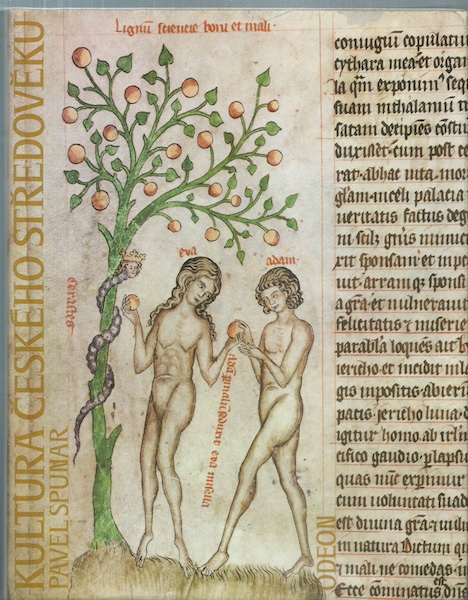 KULTURA ČESKÉHO STŘEDOVĚKU