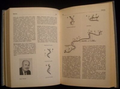 MALÁ ENCYKLOPEDIE LYŽOVÁNÍ – Kolektiv autorů