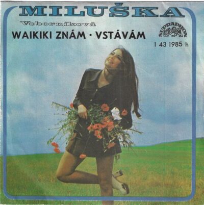 MILUŠKA VOBORNÍKOVÁ – WAIKIKI ZNÁM / VSTÁVÁM SP deska