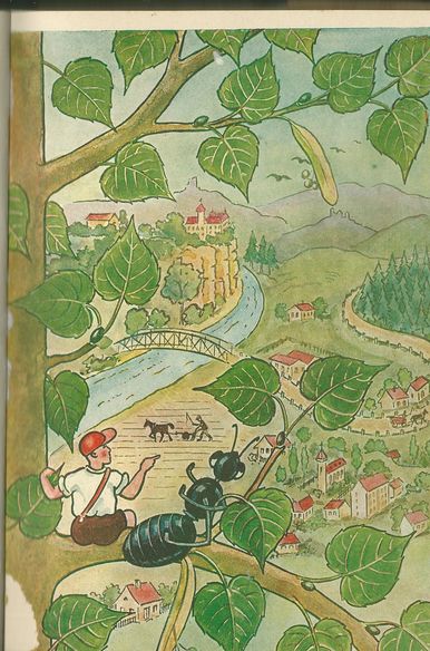 MRAVENEC TEČKA – V. Ráj