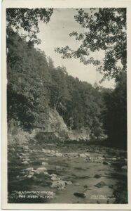 NASAVRKY – OBORA pohlednice