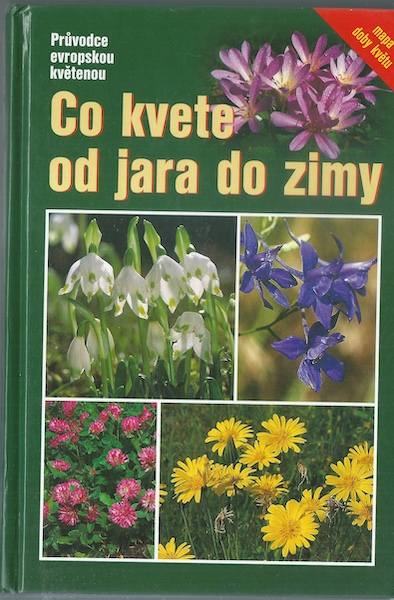 CO KVETE OD JARA DO ZIMY