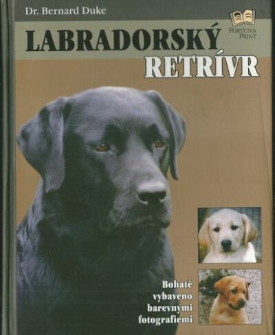 LABRADORSKÝ RETRÍVR – Bernard Duke