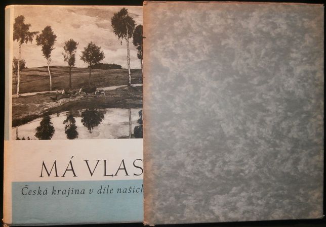MÁ VLAST – detail 2