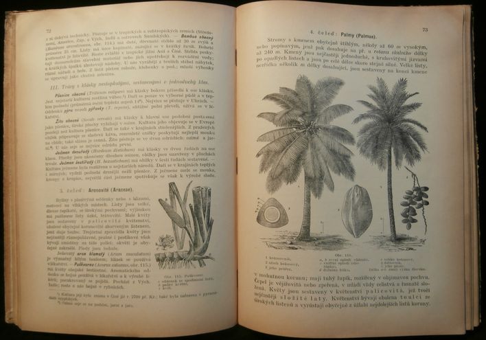 NAUKA O ZBOŽÍ PRO OBCHODNÍ AKADEMIE DÍL. I. – detail 1