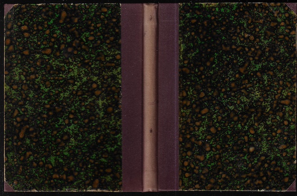 NOVÉ ZJEVENÍ – detail 1