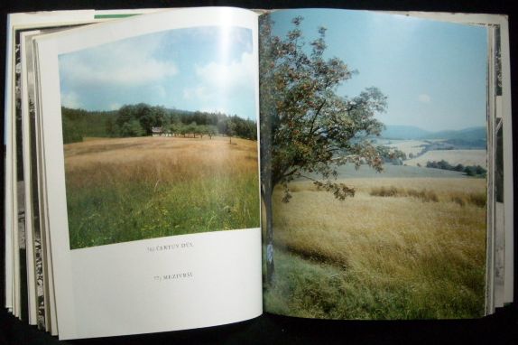 ORLICKÉ HORY – detail 2