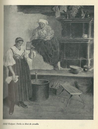 ŠUMAVA – detail 2