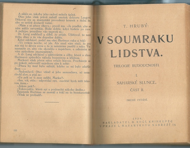 V SOUMRAKU LIDSTVA – detail 2