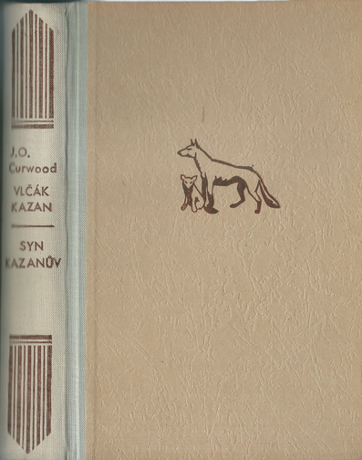 VLČÁK KAZAN / SYN KAZANŮV – detail 1