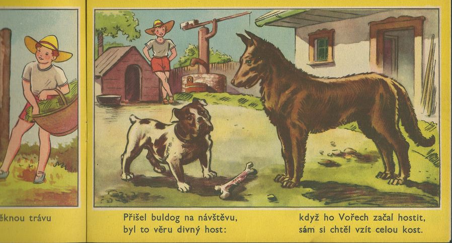 ZVÍŘÁTKA 222/2 – detail 1