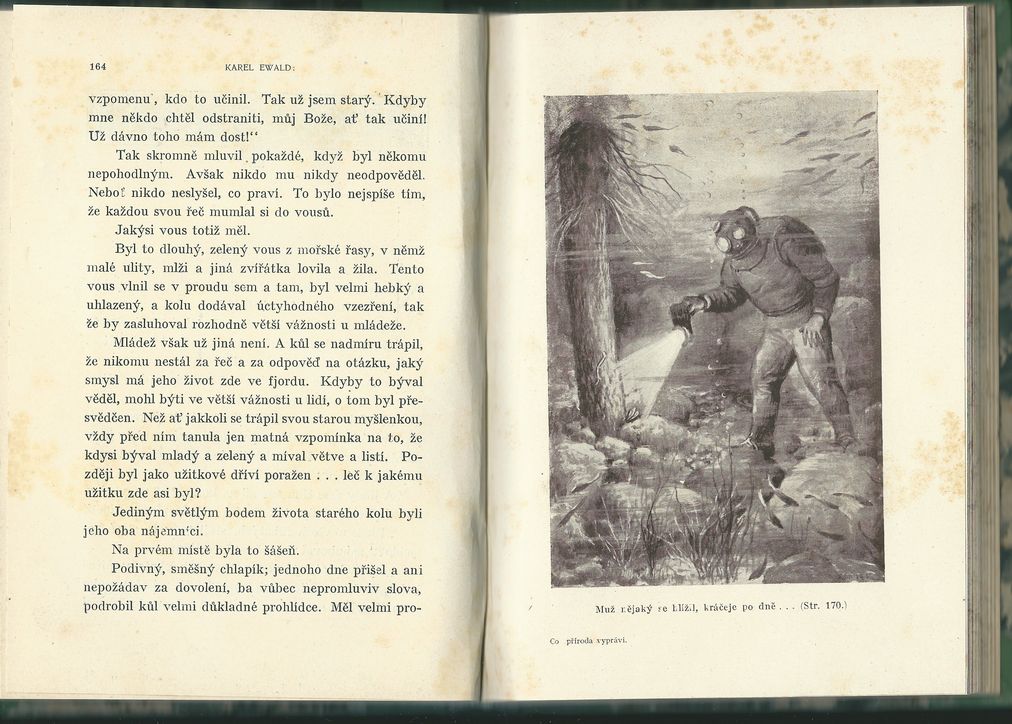 CO PŘÍRODA VYPRÁVÍ – detail 2