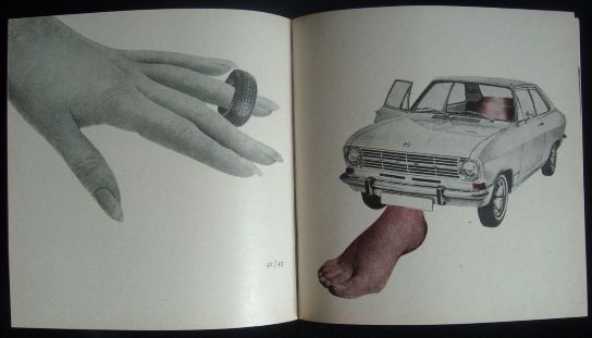 KŮS / SMOLMEN – detail 2