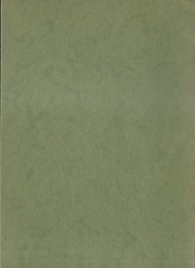 PŘIZNÁNÍ – detail 2