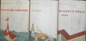 ROMANCE O CHÁMU DYNYBYLOVI – Emil Vachek