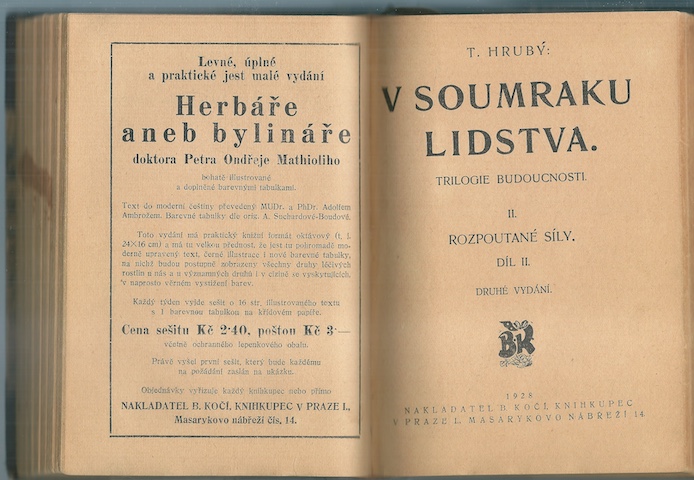 V SOUMRAKU LIDSTVA – detail 4