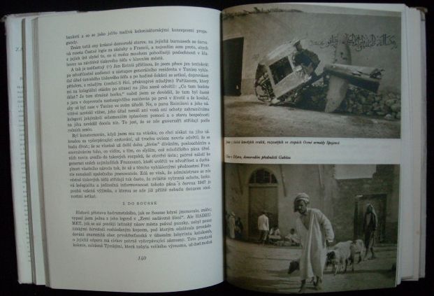 ZASTŘENÁ ZVÁŘ AFRIKY – detail 1