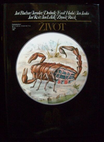 žIVOT – Kolektiv autorů