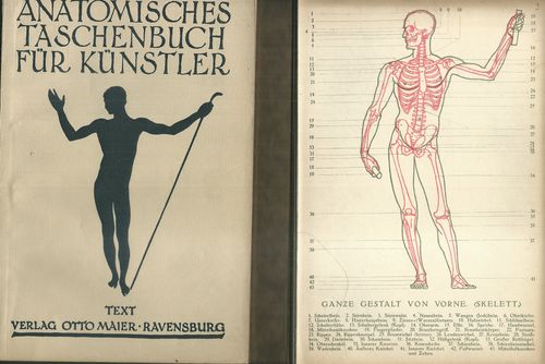 ANATOMISCHES TASCHENBUCH FÜR KÜNSTLER – detail 1