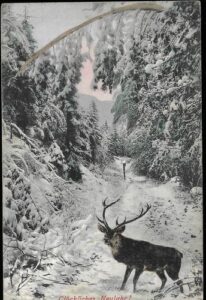 GLÜCKLICHES NEUJAHR! pohlednice