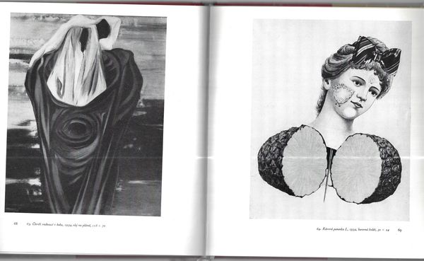 JINDŘICH ŠTÝRSKÝ - SNY – detail 3