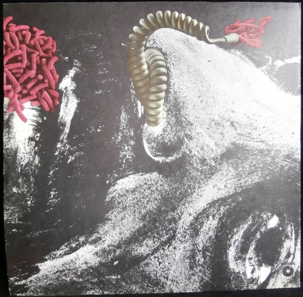 KOMBI 4 – detail 1