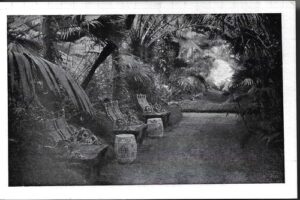 LEDNICE – ZIMNÍ ZAHRADA pohlednice