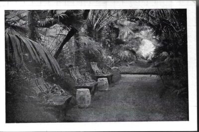 LEDNICE – ZIMNÍ ZAHRADA pohlednice