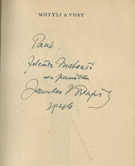 MOTÝLI A VOSY – detail 1